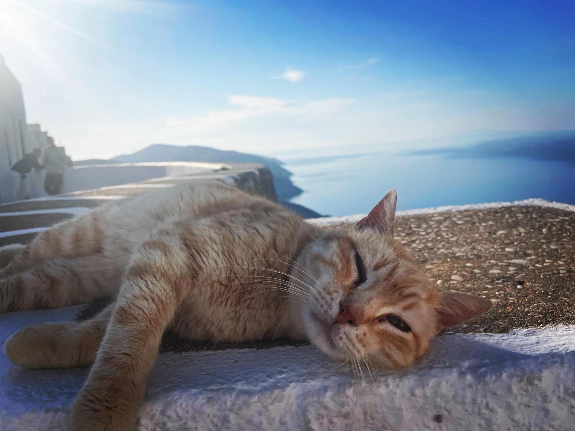 Folegandros-Cliffhouse 빌라 외부 사진